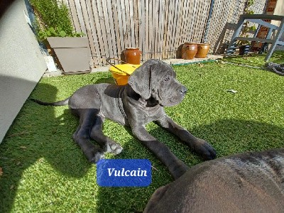 VULCAIN